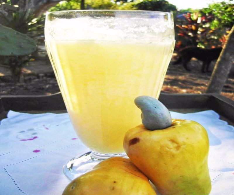 SUCO DE CAJÚ