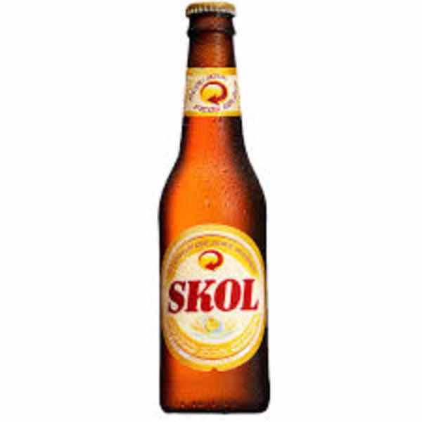 cerveja skol garrafa